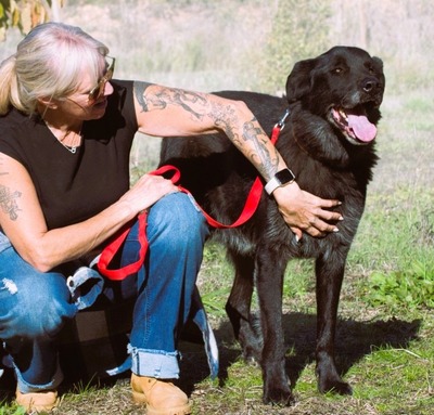 Mike - ein Goldschatz, Mischling - Rüde