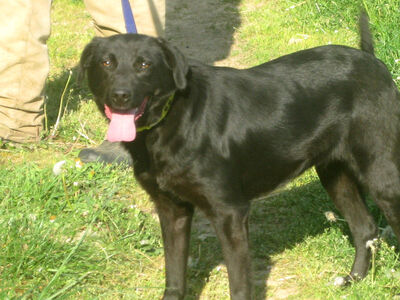 Mila möchte IHR Herz erobern