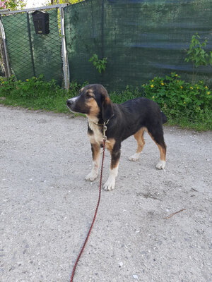 Mischo möchte IHR Herz berühren