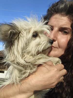 Mochi, vom Straßenhund zum Kuschelexperten, Mischling - Rüde