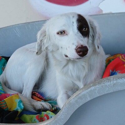 Moly - ein freundliches, fröhliches und sehr weiches Wesen