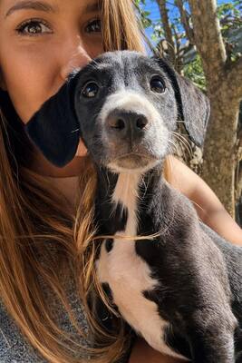 NUGGET, Mischling - Rüde