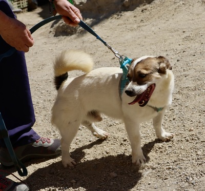 Nacho, Bodeguero Andaluz - Mix - Rüde