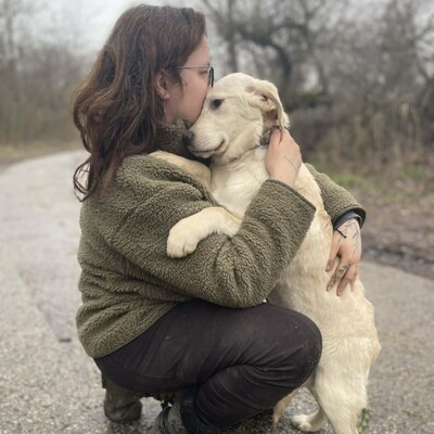 💥Naina Labrador /Retriever Mixwelpin sucht ein tolles Zuhause bei lieben Menschen 💥, Labrador /Retriever Mixwelpin Welpen - Hündin