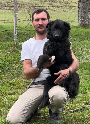 Nella möchte IHRE treue Begleiterin werden, Mischling - Hündin