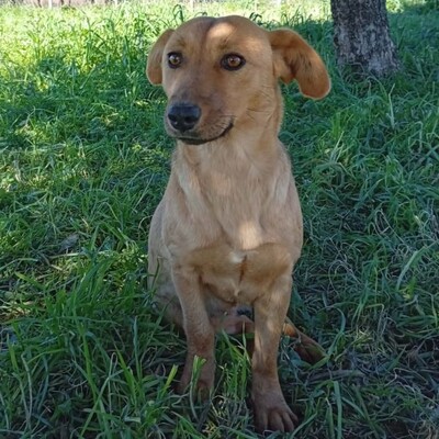 Nelli -  freundlich, unkompliziert & sehr angenehm 😇/ Reserviert