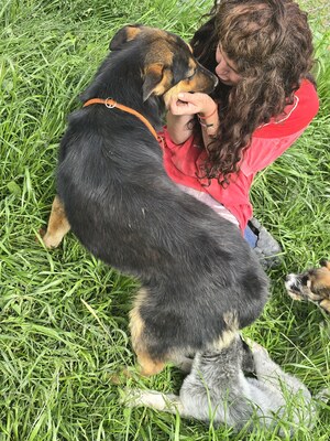 Nelly träumt von einem liebevollen Zuhause, Mischling - Hündin