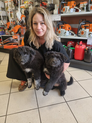 Nero wartet sehnsüchtig auf SIE, Mischling Welpen - Rüde