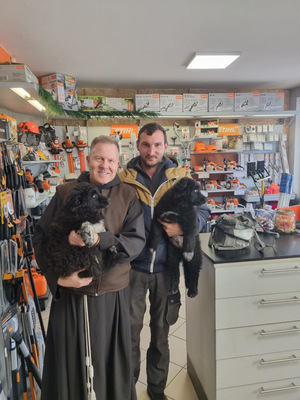 Nero wartet sehnsüchtig auf SIE, Mischling Welpen - Rüde