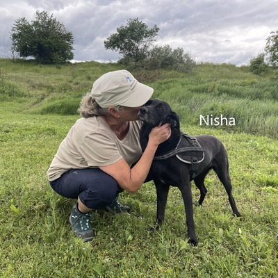 Nisha, geb. 2019 sucht liebevolles Zuhause, Mischling - Hündin