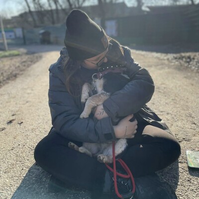 Nona ist sehr freundlich, liebenswert und einfach ein herzensguter Hund. Sie ist ein wahrer Sonnenschein......, Mischling - Hündin