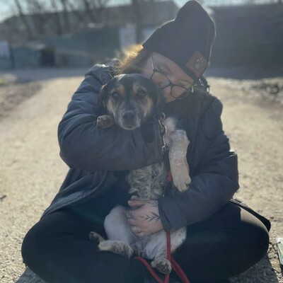 Nona ist sehr freundlich, liebenswert und einfach ein herzensguter Hund. Sie ist ein wahrer Sonnenschein......, Mischlingshündin - Hündin