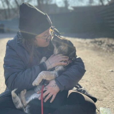 Nona ist sehr freundlich, liebenswert und einfach ein herzensguter Hund. Sie ist ein wahrer Sonnenschein......, Mischlingshündin - Hündin