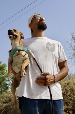 Ollie, Mix - Rüde