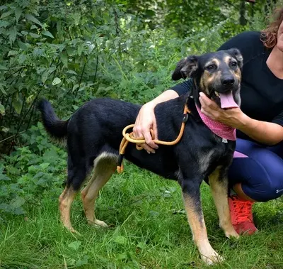 PEPITA, Mischling - Hündin