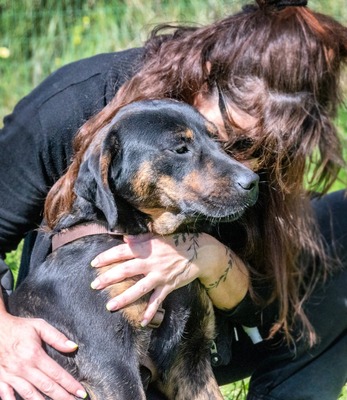 Pablo – ein aufgeweckter toller Junghund, Mischling - Rüde