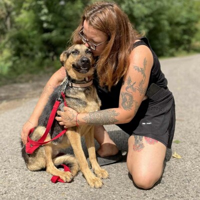 🌺Pakuna Deutsche Schäferhund Mischlingshündin ist sehr klug und lernt sehr schnell, läuft brav an der Leine +liebt andere Hunde❤️, Deutsche Schäferhund Mischlingshündin - Hündin