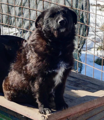 Palichitza wünscht sich ein Teil IHRER Familie zu sein