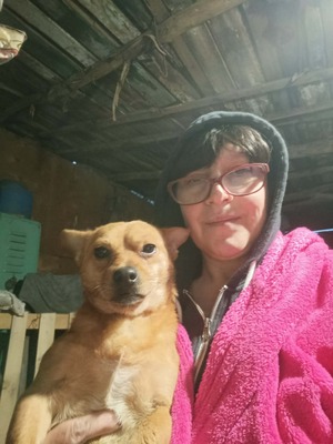 🐾 Peanut sucht sein Für-immer-Zuhause 🐾, Mischling - Rüde