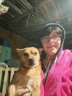 🐾 Peanut sucht sein Für-immer-Zuhause 🐾, Mischling - Rüde