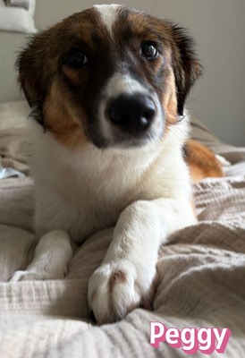 Peggy