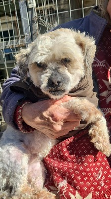 Pepino ist ein zuckersüßer, kleiner Charmeur