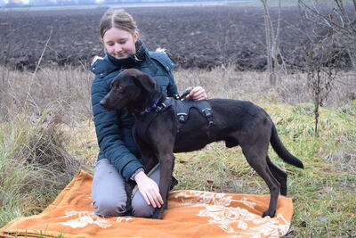 Peppo - Intelligenter Hundejunge, ca. 1 Jahr/55cm, Mischling - Rüde