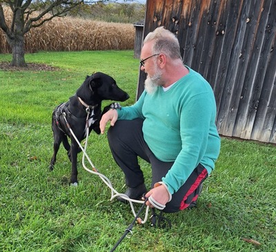 Pino - ein treues Sensibelchen, Mischling - Rüde