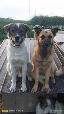 Plangacila hat sein Leben lang gewartet