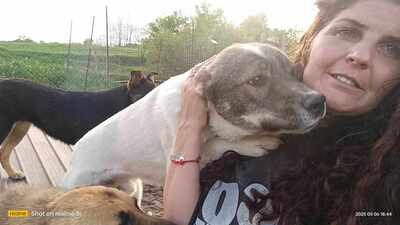 Plangacila hat sein Leben lang gewartet, Mischling - Rüde