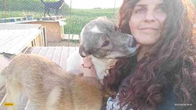 Plangacila hat sein Leben lang gewartet, Mischling - Rüde