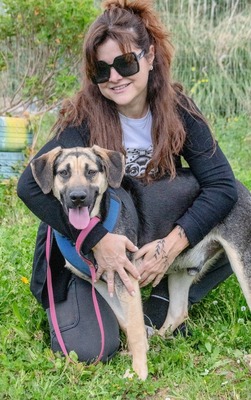 Pluto - ein aufgeweckter Junghund, Rhodesian Ridgeback-Mix - Rüde