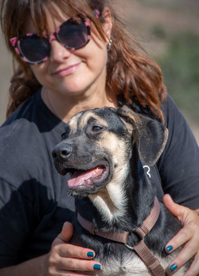 Pluto – einer von sechs temperamentvollen Gesellen, Rhodesian Ridgeback-Mix - Rüde