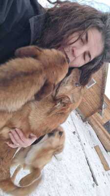 Poldi, liebes Zwergerl sucht seinen Platz mitten im Leben, Mischling - Rüde