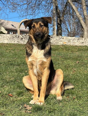Pop möchte mit IHNEN durchs Leben gehen