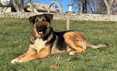 Pop möchte mit IHNEN durchs Leben gehen