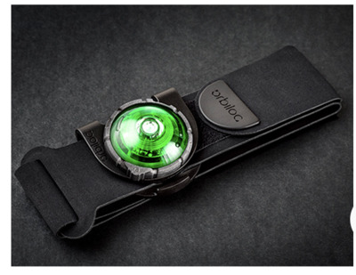 Premium Hundefutter & Maß-Geschirre in Esslingen – WuffWuff Design