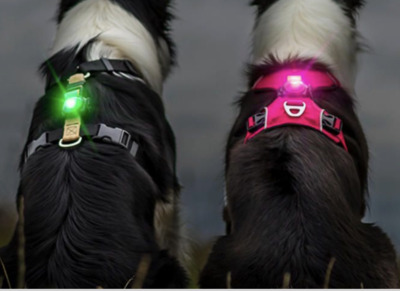 Premium Hundefutter & Maß-Geschirre in Esslingen – WuffWuff Design