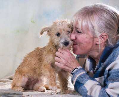 Princessa - ein entzückendes Hundemädchen, Mischling - Hündin