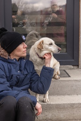 Prinzessin sucht ihr Königreich fürs Herz, Labrador - Mischling - Hündin