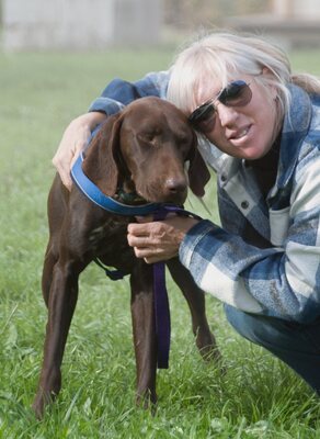 Ranger - ein Prachtkerl, Typ Deutsch Kurzhaar (kein Stammbaum) - Rüde