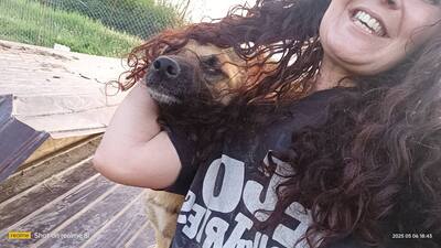 Raya wartet auf Liebe und Geborgenheit, Mischling - Hündin