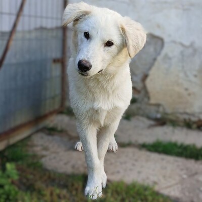 Ria - unglaublich lieb &  sanft 😇