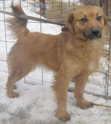 Rina sehnt sich nach einem kuschligen Zuhause