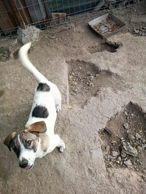 🌸 Rina und ihre Schwestern sind auf der Suche nach Liebe und Geborgenheit 🌸