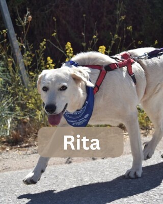 Rita