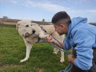 Rita, Mischling - Hündin