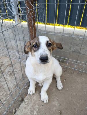 Rita und ihre Schwestern auf der Suche nach Liebe und Geborgenheit