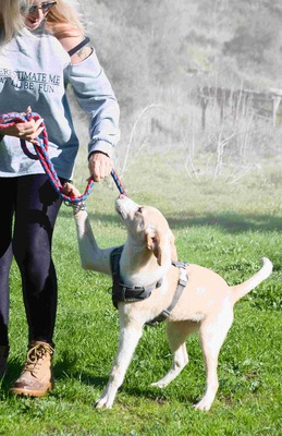 River - lieb und aufgeschlossen, Mischling - Hündin