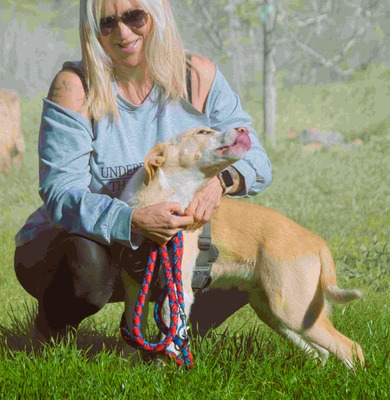 River - lieb und aufgeschlossen, Mischling - Rüde